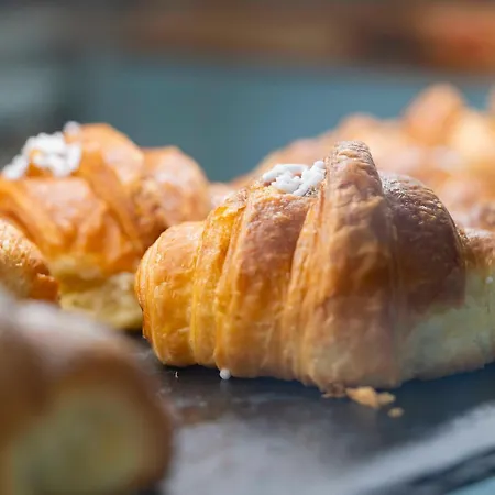 Montecristo 3* Grosseto