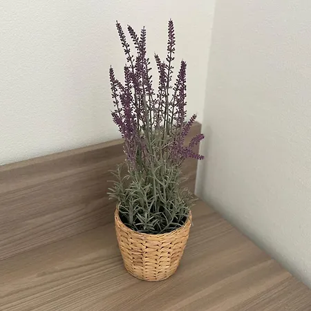 Montecristo Bed & Breakfast Grosseto